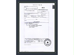 海顺水漆-国际PCT专利